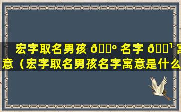 宏字取名男孩 🐺 名字 🌹 寓意（宏字取名男孩名字寓意是什么）